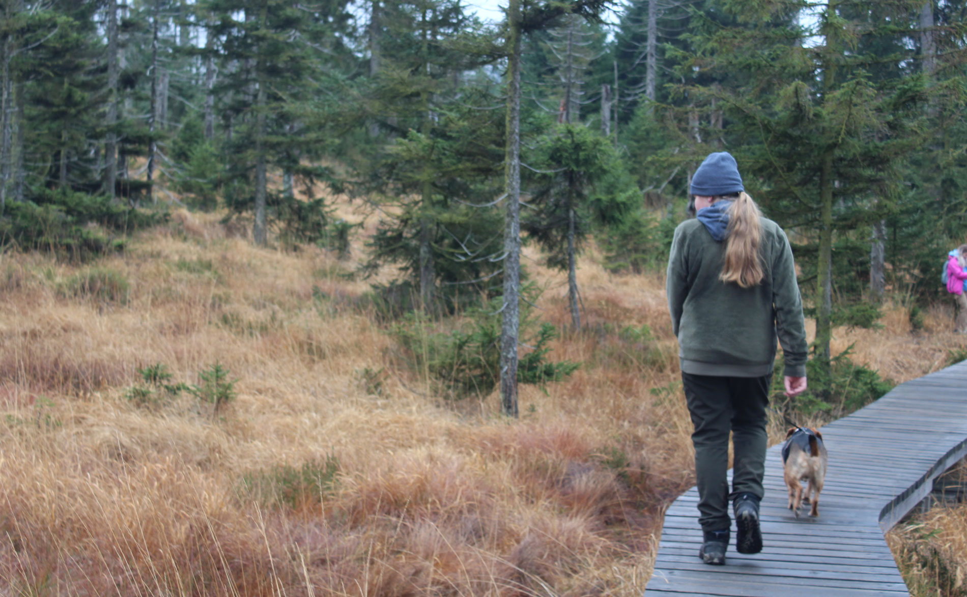 Harz-Camping bei Schierke am Brocken